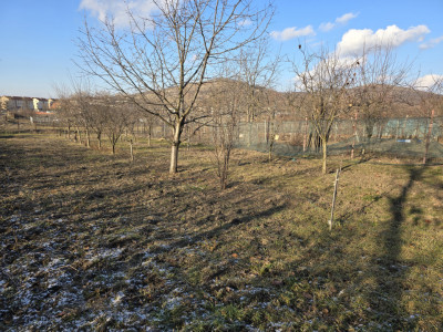 Case de vanzare Sibiu Gusterita imagine mica 2