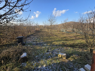 Case de vanzare Sibiu Gusterita imagine mica 3