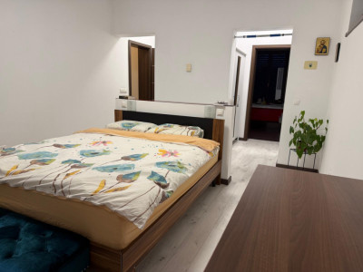 Case de vanzare Cisnadie imagine mica 17