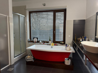 Case de vanzare Cisnadie imagine mica 23