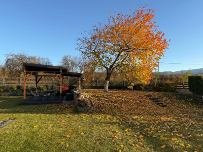 Case de vanzare Cisnadie imagine mica 36