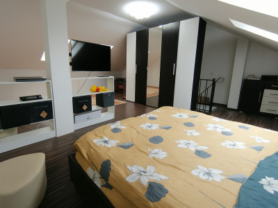 Apartamente de vanzare Sibiu Tilisca imagine mica 4