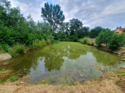 Terenuri de vanzare Sacel imagine mica 1