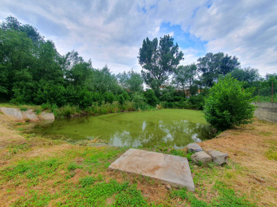 Terenuri de vanzare Sacel imagine mica 6