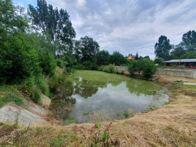 Terenuri de vanzare Sacel imagine mica 7