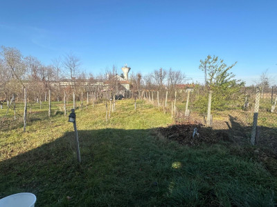 Case de vanzare Cristian imagine mica 3