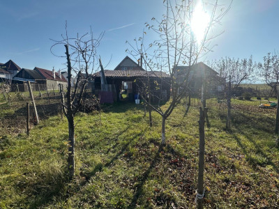 Case de vanzare Cristian imagine mica 5