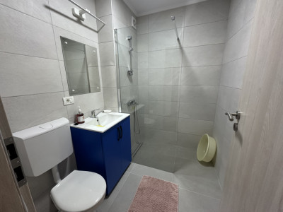 Apartamente de inchiriat Fagaras imagine mica 7