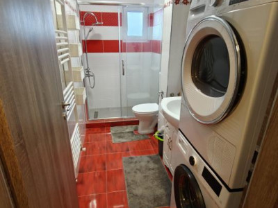 Apartamente de inchiriat Sibiu Tineretului imagine mica 13