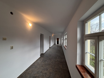 Case de vanzare Hamba imagine mica 3