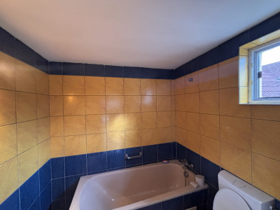 Case de vanzare Hamba imagine mica 14