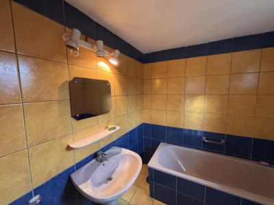 Case de vanzare Hamba imagine mica 15