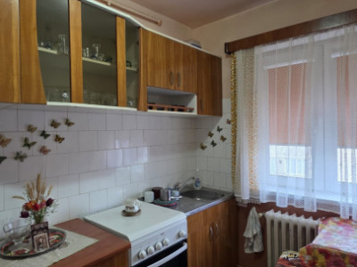 Apartamente de vanzare Sebes imagine mica 4