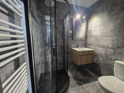 Case de vanzare Avrig imagine mica 13