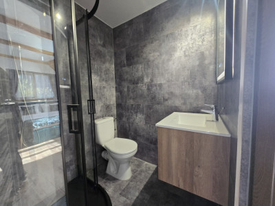 Case de vanzare Avrig imagine mica 15