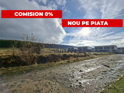 Terenuri de vanzare Rasinari imagine mica 1