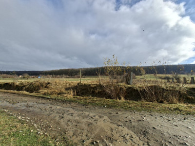 Terenuri de vanzare Rasinari imagine mica 6