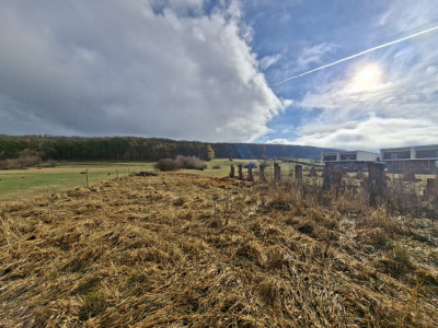 Terenuri de vanzare Rasinari imagine mica 7