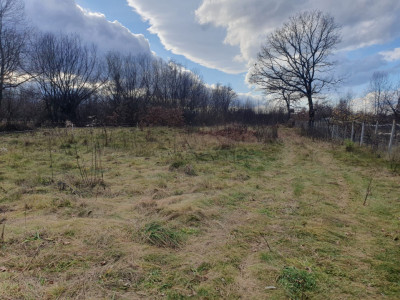 Terenuri de vanzare Savastreni imagine mica 2