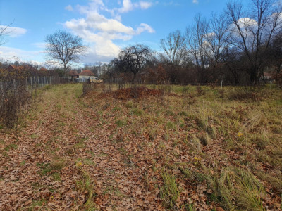 Terenuri de vanzare Savastreni imagine mica 3