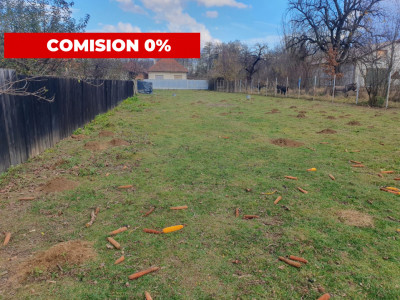 Comision 0 % Teren intravilan 2 cai de acces 3100 mp Savastreni