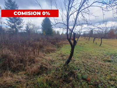 Terenuri de vanzare Sambata de Sus imagine mica 1