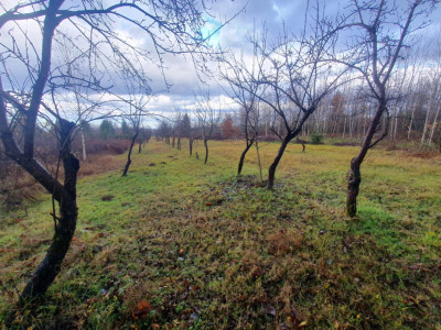 Terenuri de vanzare Sambata de Sus imagine mica 2