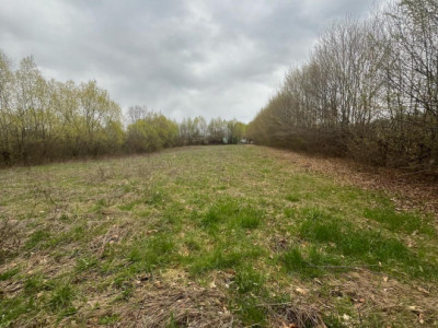 Terenuri de vanzare Cisnadie imagine mica 2