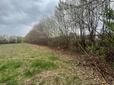 Terenuri de vanzare Cisnadie imagine mica 4