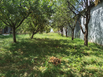 Teren intravilan de vanzare cu utilitati si puz in Poplaca