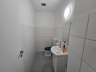 Spatii industriale de inchiriat Sibiu Turnisor imagine mica 7