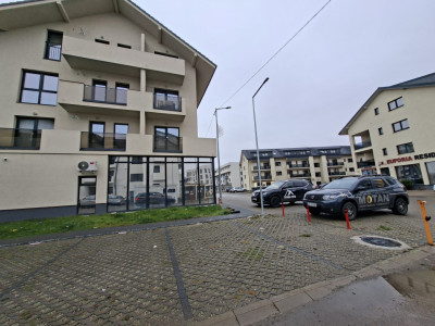 Apartamente de inchiriat Sibiu Doamna Stanca imagine mica 12