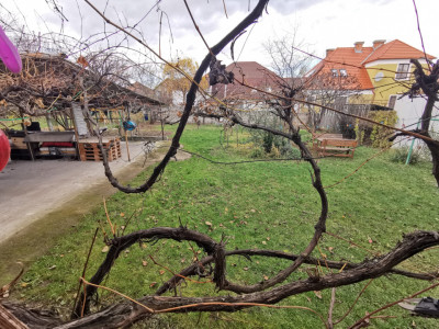 Case de vanzare Sibiu Calea Poplacii imagine mica 10