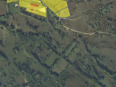 Terenuri de vanzare Avrig imagine mica 3