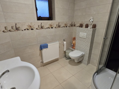 Case de vanzare Sibiu Piata Cluj imagine mica 9