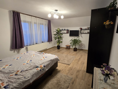 Case de vanzare Sibiu Piata Cluj imagine mica 11