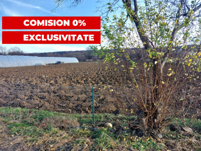 Terenuri de vanzare Cisnadie imagine mica 1