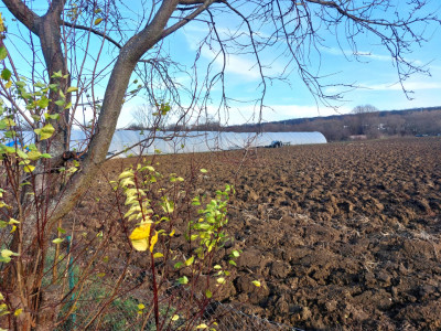 Terenuri de vanzare Cisnadie imagine mica 6