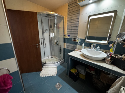 Case de vanzare Sibiu Turnisor imagine mica 18