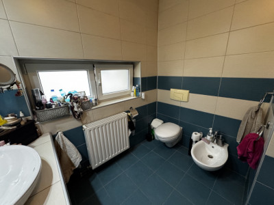 Case de vanzare Sibiu Turnisor imagine mica 21