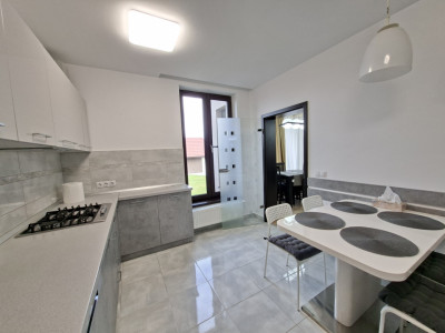 Case de inchiriat Sura Mica Central-- imagine mica 10