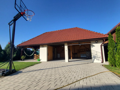 Case de inchiriat Sura Mica Central-- imagine mica 17