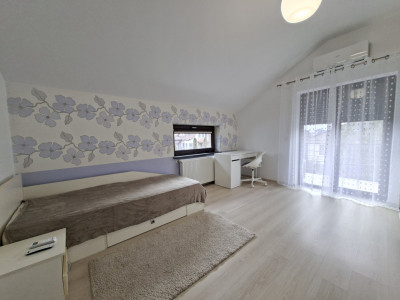 Case de inchiriat Sura Mica Central-- imagine mica 19