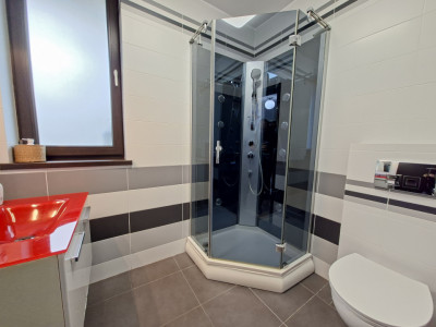 Case de inchiriat Sura Mica Central-- imagine mica 23