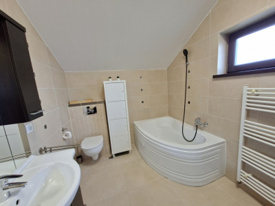 Case de inchiriat Sura Mica Central-- imagine mica 26