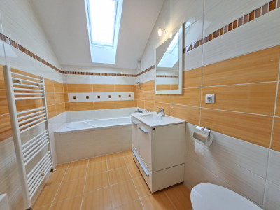 Case de inchiriat Sura Mica Central-- imagine mica 27