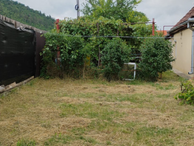 Case de vanzare Seica Mare imagine mica 3