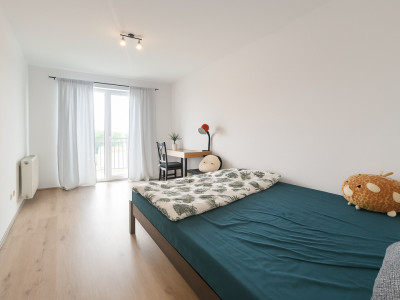 Apartamente de inchiriat Sibiu Lupeni imagine mica 6