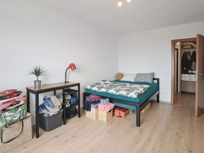 Apartamente de inchiriat Sibiu Lupeni imagine mica 7