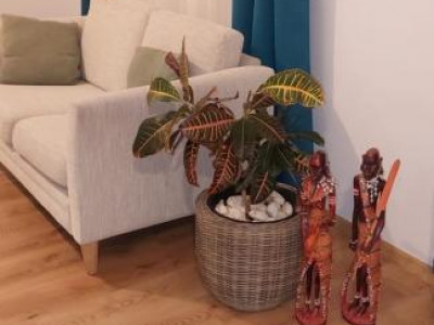 Case de inchiriat Sibiu Selimbar imagine mica 6